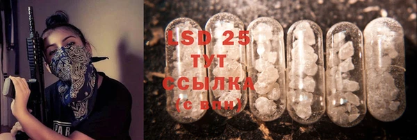 индика Белоозёрский