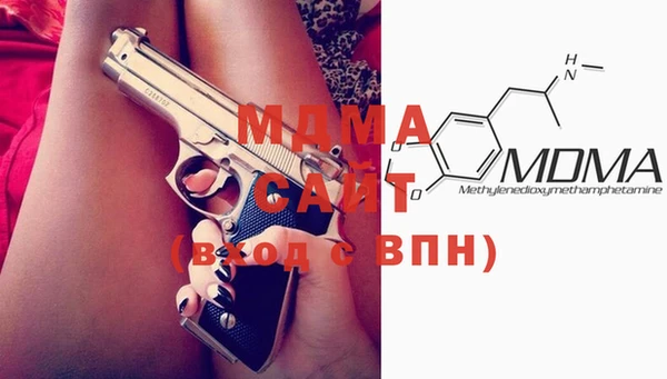 индика Алексин