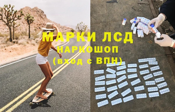 стафф Алзамай