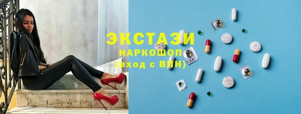 индика Алексин
