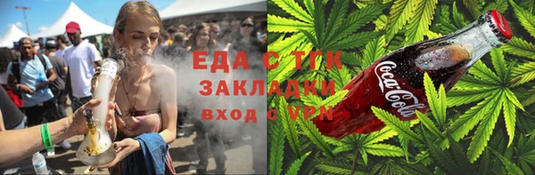 индика Алексин