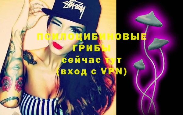 стафф Алзамай
