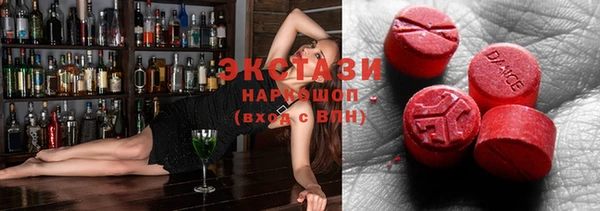 индика Алексин